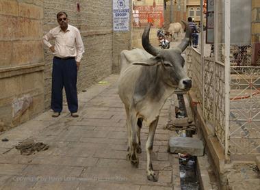 08 Jaisalmer-Walk_DSC3222_b_H600